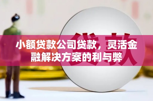 代县小额贷款公司贷款，灵活金融解决方案的利与弊
